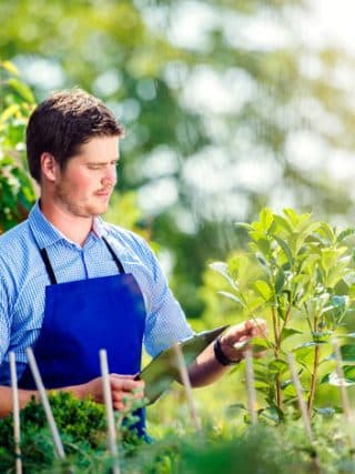 Choisir un paysagiste