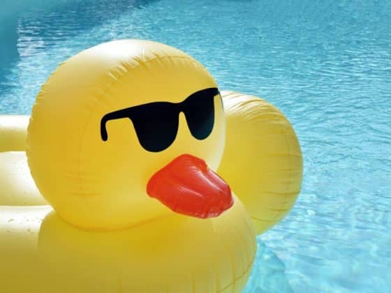 Bouée en forme de canard dans une piscine