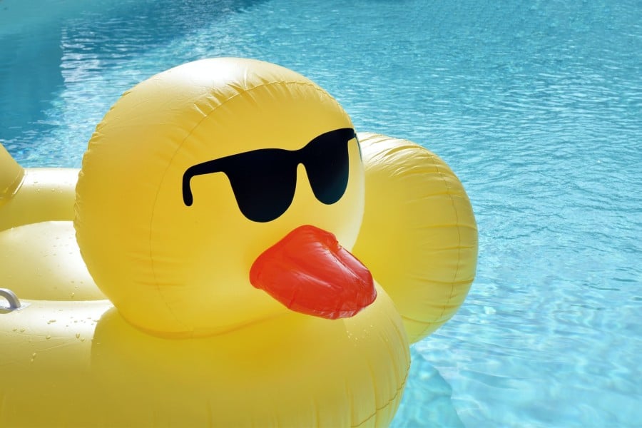 Bouée en forme de canard dans une piscine