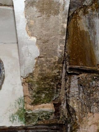 degats des eaux