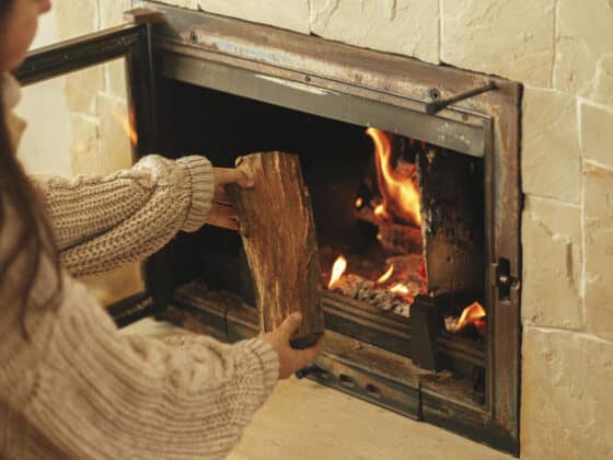 mettre bois dans le cheminée