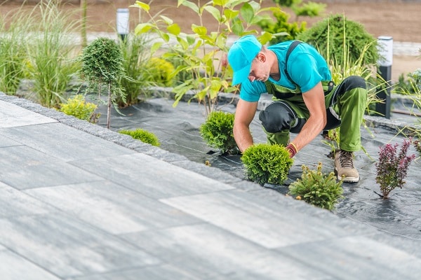 amenagement espace exterieur jardin