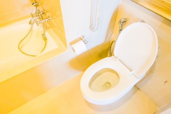 design wc