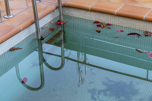 feuilles mortes dans piscine