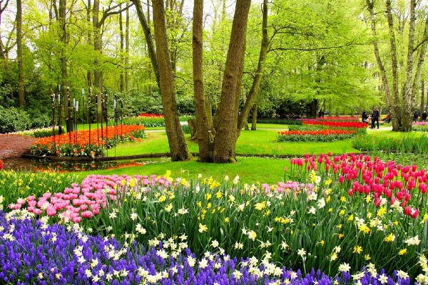 vue sur jardin