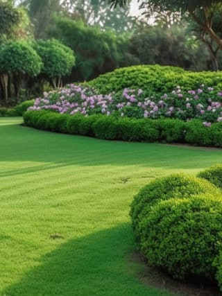 magnifique jardin