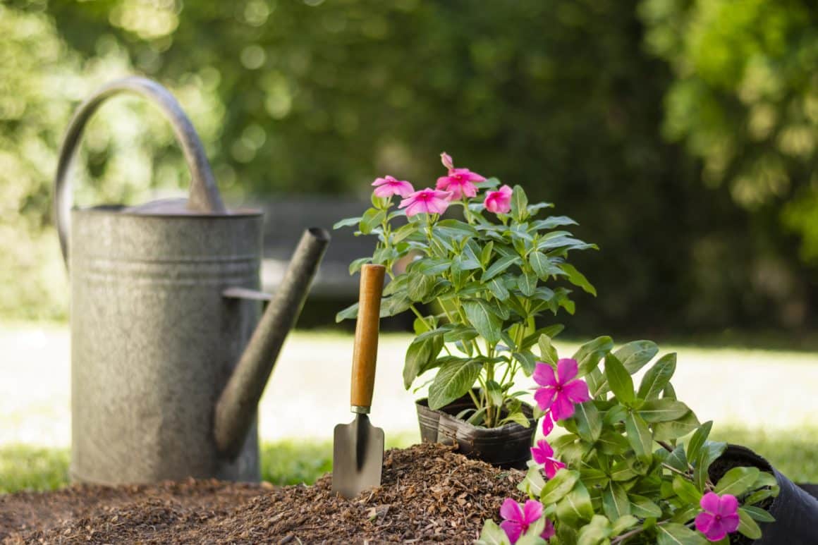 aménagement petit jardin