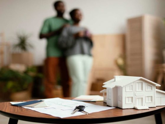 investissement immobilier