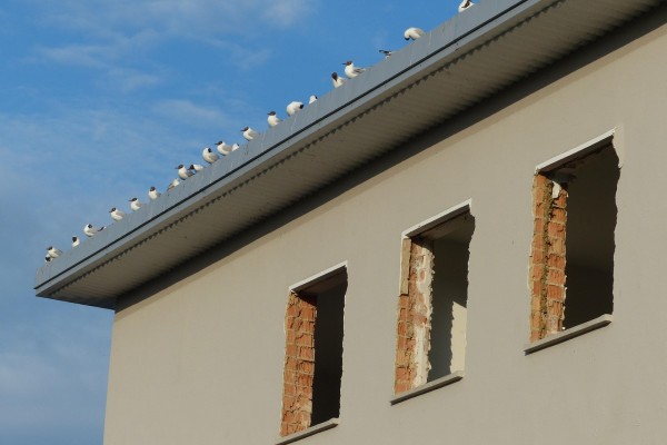 projet de rénovation